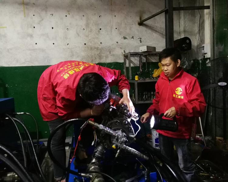 液压泵乐鱼(中国)检测